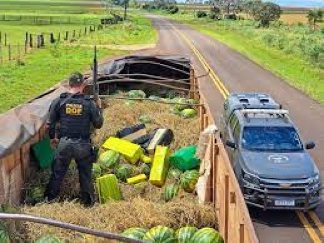 Em carga de melancia, DOF apreende 660 kg de droga na fronteira com o Paraguai