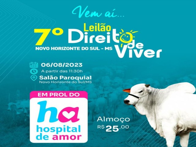 NOVO HORIZONTE DO SUL: 7 Leilo Direito de Viver tem data marcada