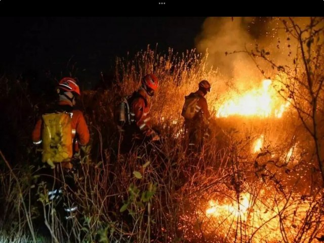 Unio refora combate aos incndios no Pantanal