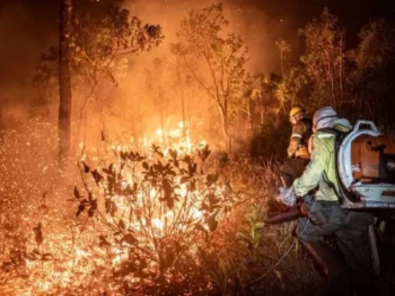 BNDES aprova R$ 180 milhes para combater queimadas na Amaznia Legal