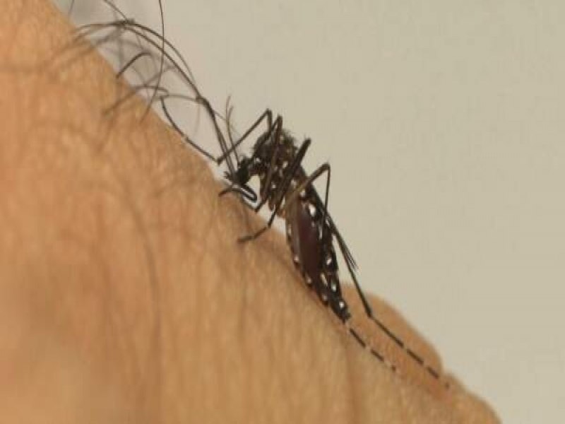 SOBE PARA 143 NMERO DE MORTES POR DENGUE NA BAHIA