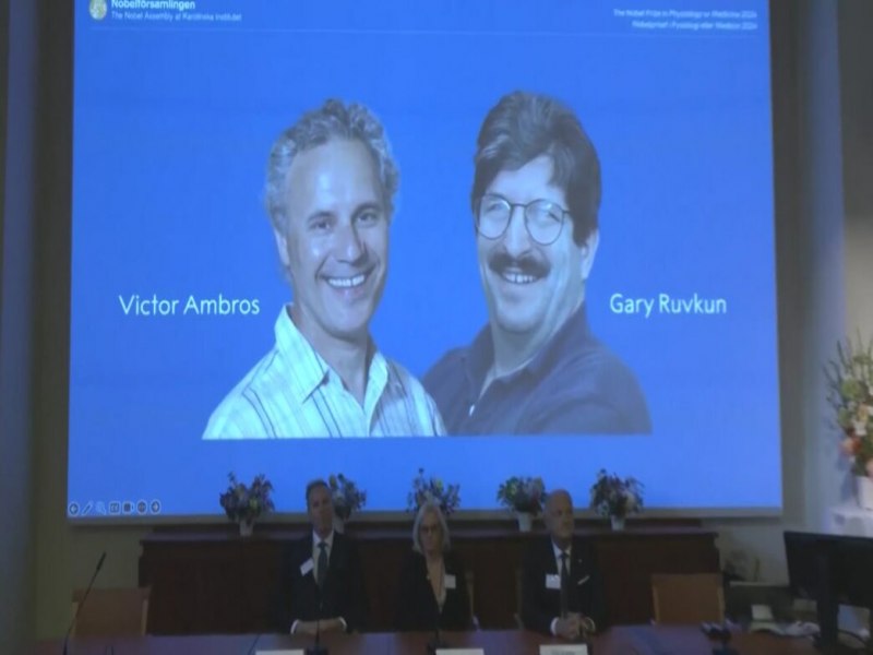 Americanos vencem Nobel de Medicina de 2024 por descoberta de microRNA