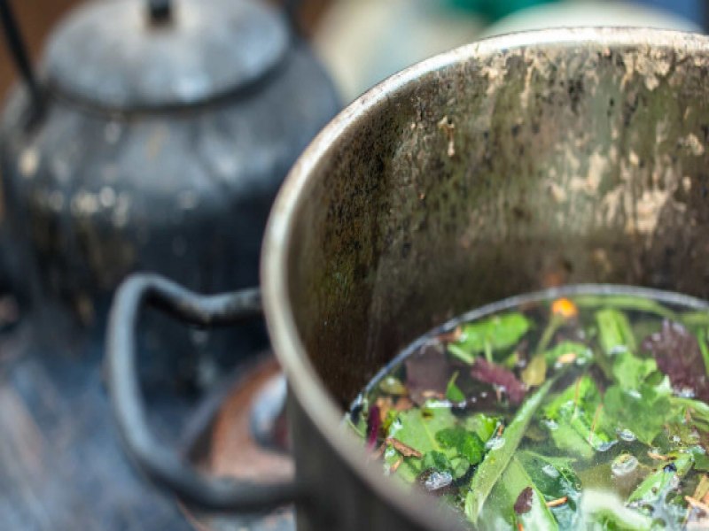 Tribunal condena casal que deu ch de ayahuasca a adolescente em ritual religioso