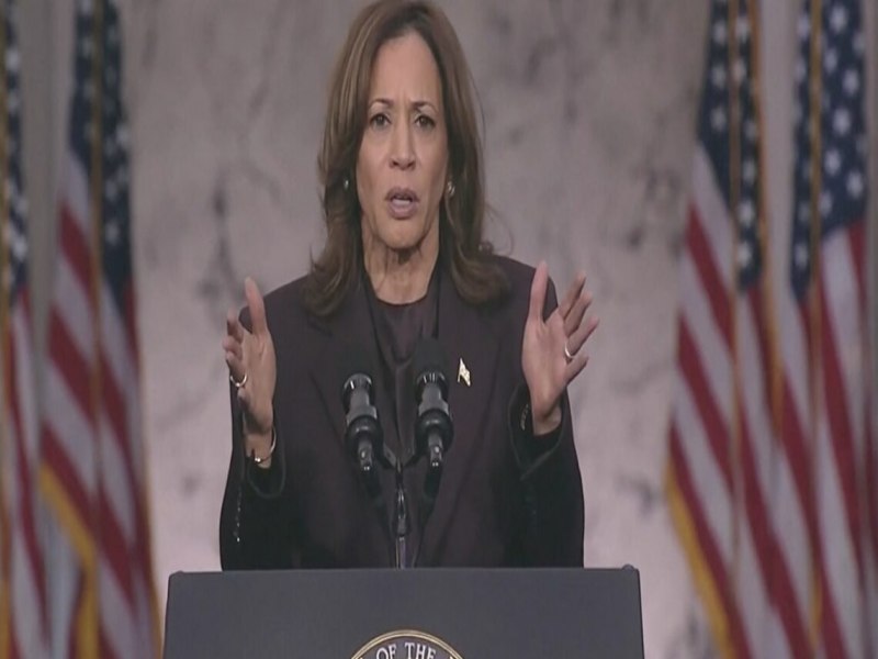 ?Precisamos aceitar os resultados desta eleio?, diz Kamala Harris em 1 discurso aps derrota para Donald Trump