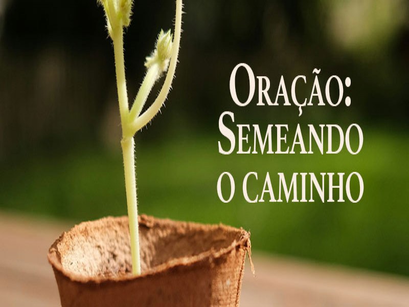 semeando o caminho  