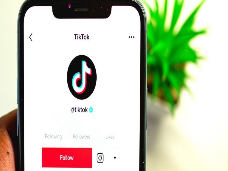 TikTok tem at quarta-feira para cumprir determinao do Governo Federal