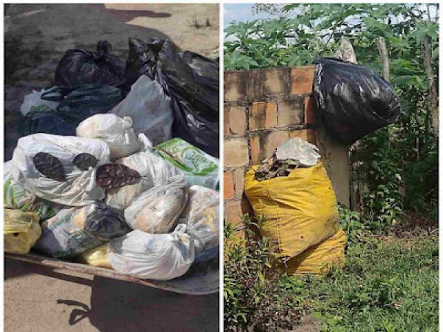 Cachoeira: moradores reclamam de acmulo de lixo e falta de coleta na Boa Vista e em Capoeiruu