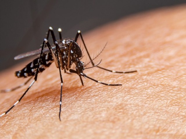 Bahia registra terceira morte por dengue