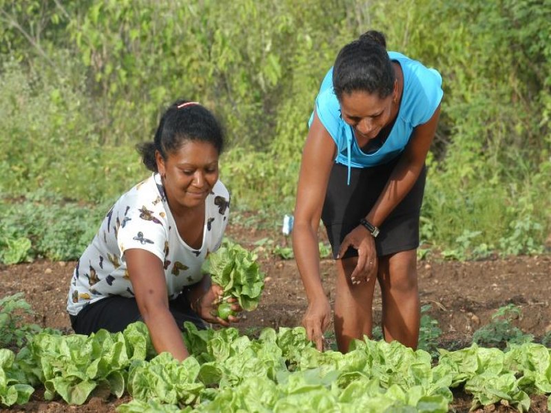 Governo da Bahia abre edital com R$ 3 milhes destinados s mulheres do campo