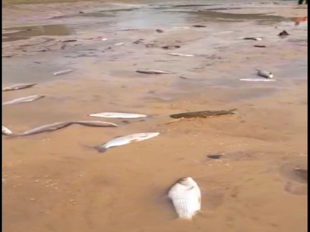 Reduzido a 20 centmetros, rio deixa distrito  espera de gua, peixe e dinheiro