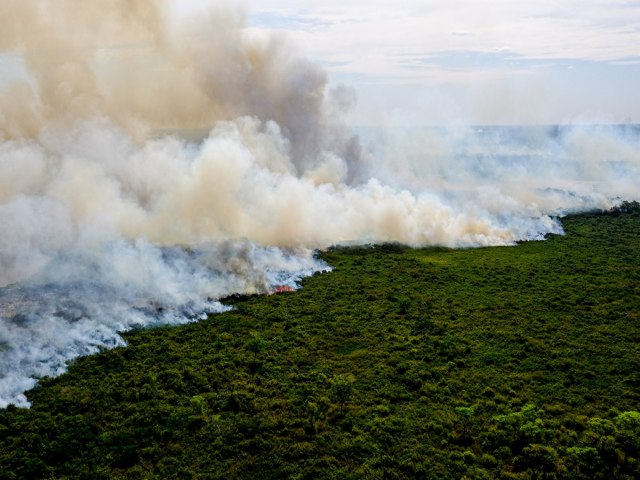 Enquete: 73% dos leitores moram em regies afetadas pelas queimadas urbanas.