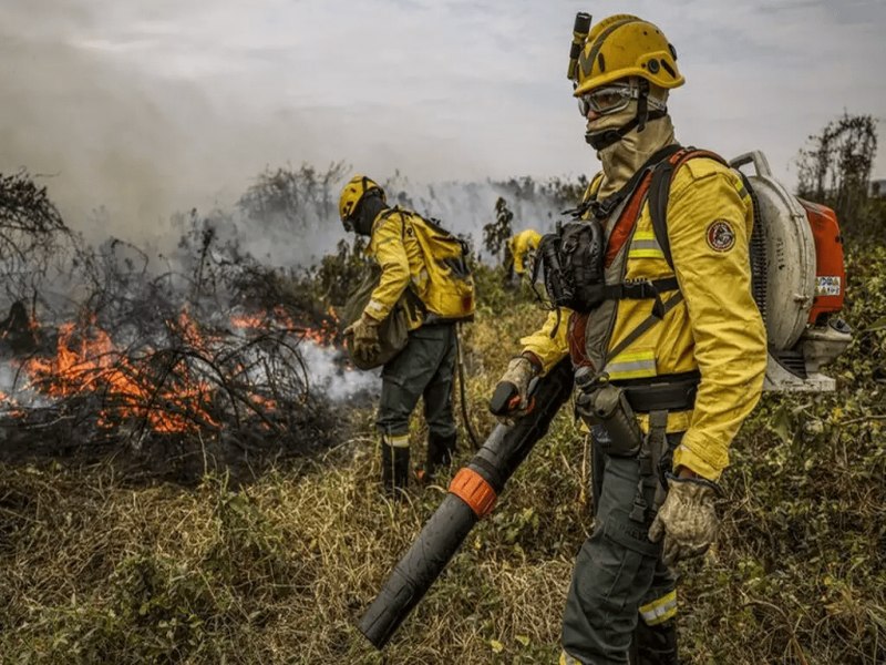 Ibama autoriza contratao de 144 brigadistas para combate ao fogo no Pantanal 