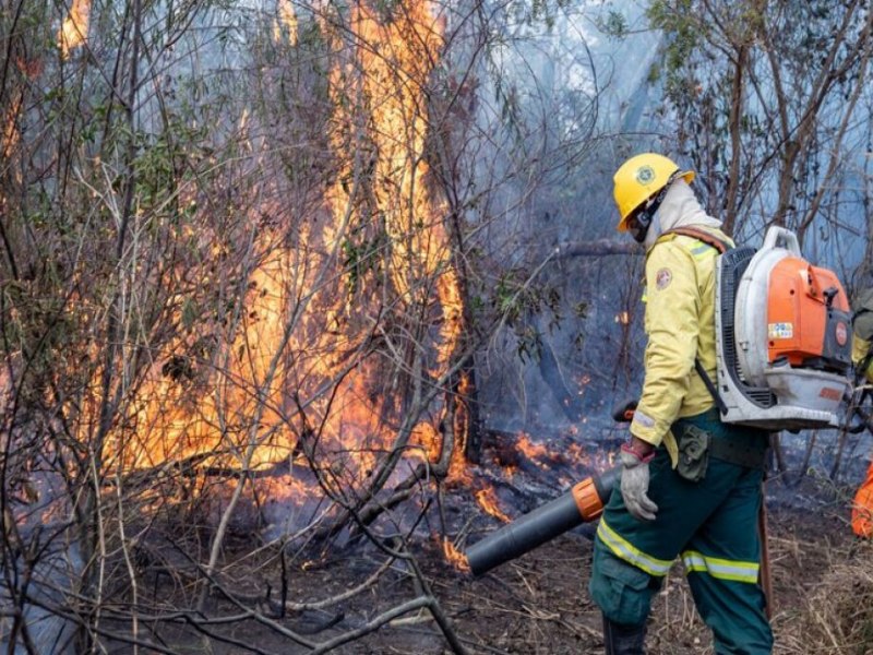 STF determina mobilizao mxima de agentes para atuar contra incndios no Pantanal