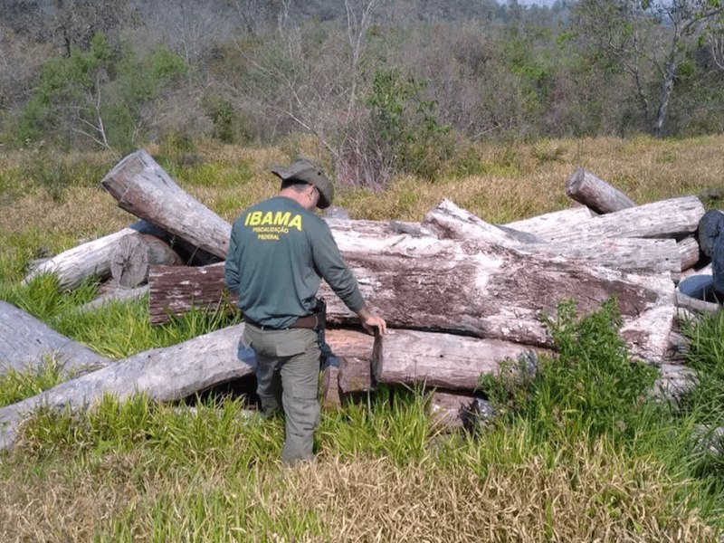 Portaria autoriza concurso do Ibama com 460 vagas 