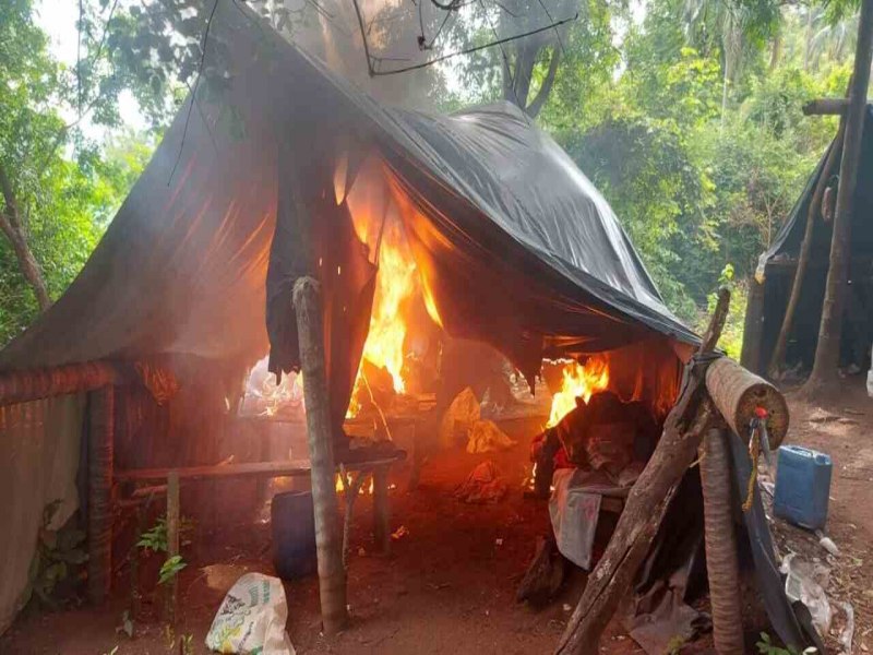 Polcia paraguaia elimina 15 toneladas de maconha em roas na fronteira com MS