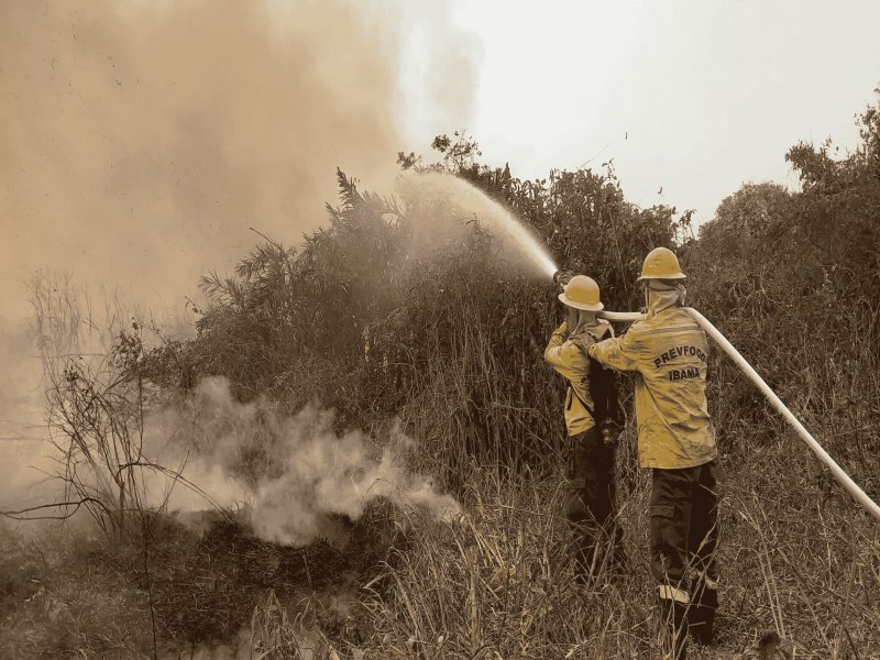 VDEO: Mais de 60 brigadistas brasileiros combatem incndios do Pantanal na Bolvia