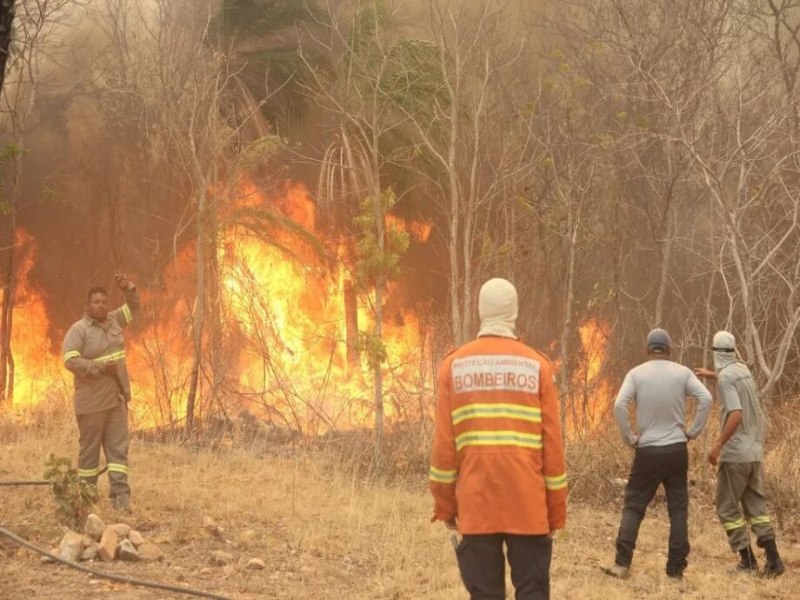 Governo federal deve liberar R$ 550 milhes para o combate aos incndios florestais