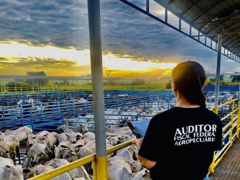 Suspeitos provocaram acidente para matar fiscal agropecuria aps vistoria em frigorfico