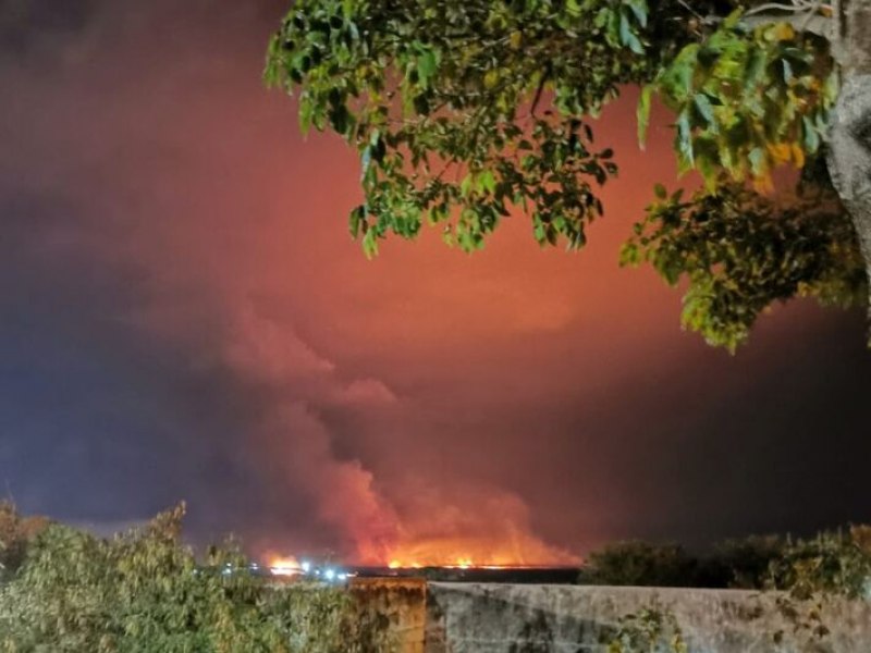 Grilagem usava queimadas para invadir terras e criar gado no Pantanal