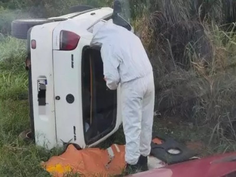 Carro capota sobre colmeia, mata passageiro e abelhas atacam testemunhas