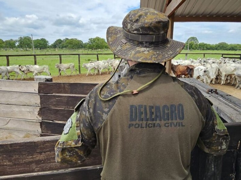 Funcionrio perdeu bois e remarcou gado vizinho para no zangar patro