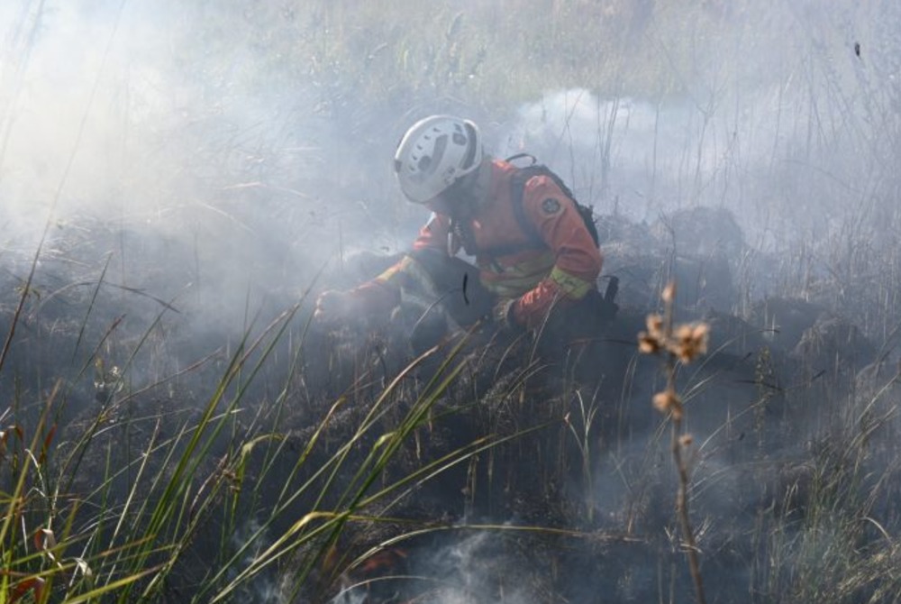 Decreto de emerg�ncia ambiental refor�a prepara��o do Governo de MS para enfrentamento a inc�ndios florestais