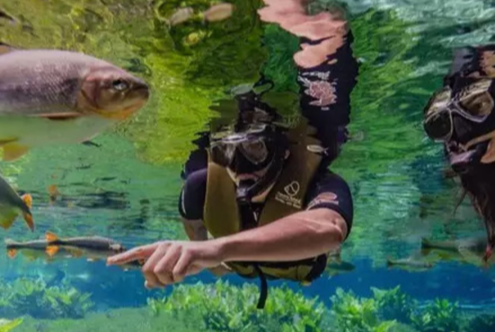 Bonito recebeu, em média, 1 turista a cada 2 minutos em 2026. Bonito recebeu, em média, 1 turista a cada 2 minutos em 2026.