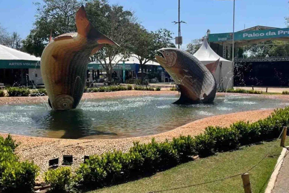 Bonito recebe repasse de R$ 100 mil para oficinas liter�rias infantis 