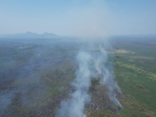 Apoiado pelo Fundect, projeto em MS busca alternativa para evitar incndios no Pantanal