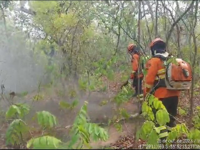 Bombeiros combatem incêndios há quatro dias no Pantanal