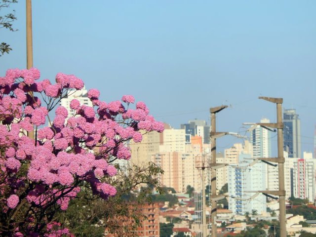 Sbado de sol tem aumento de temperaturas como destaque em Mato Grosso do Sul