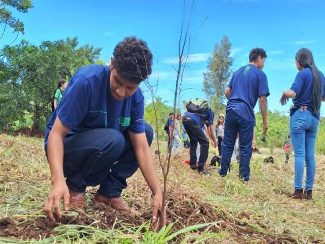 Projeto com estudantes de escola indgena realiza restaurao de vegetao em Dourados