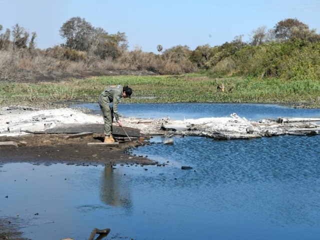 Gretap: equipe do Governo de MS no Pantanal monitora reas queimadas em busca de animais feridos