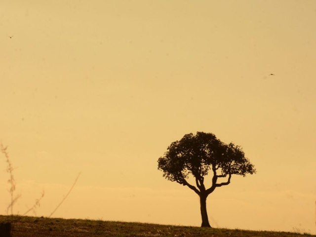 Sexta-feira tem previso de altas temperaturas e tempo seco em Mato Grosso do Sul