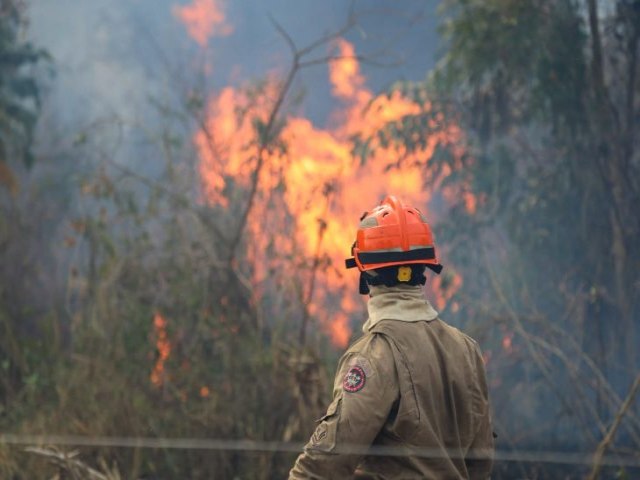 Operao Pantanal: bombeiros de MS lutam para conter grandes chamas na regio do Nabileque