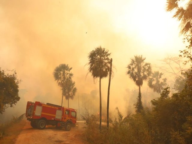 Desafios contra incndios florestais em MS continuam na Operao Pantanal 2024