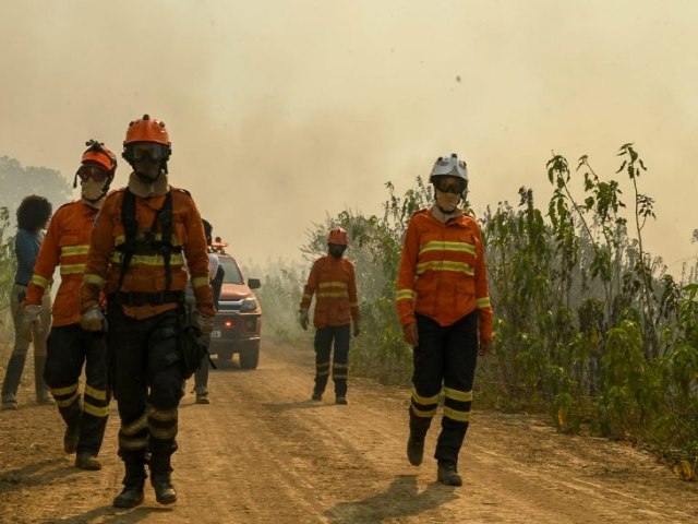 Pantanal: fora-tarefa segue ativa para prevenir e combater incndios em nova onda de calor e tempo seco