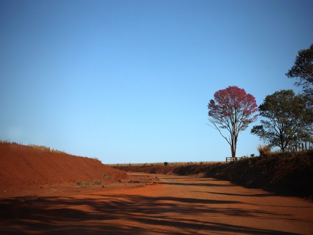 Com baixa umidade do ar e sol, MS tem previso de semana quente e sem chuva