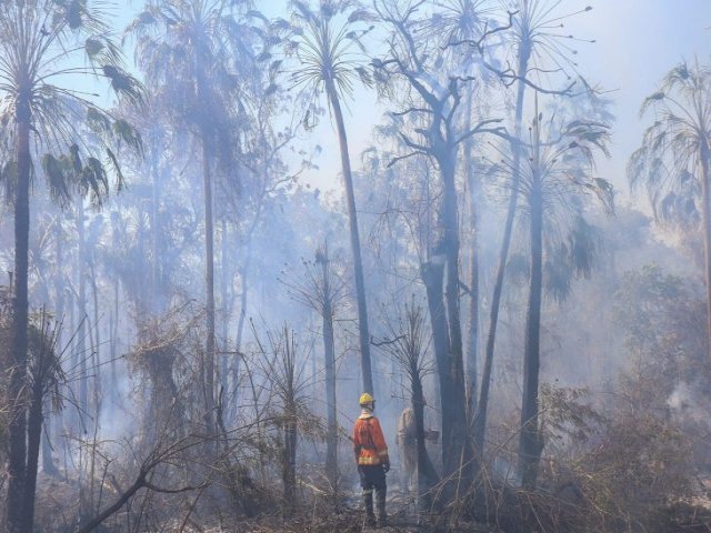 Combate aos incndios no Pantanal tem reforo com equipes de bombeiros do PR e GO