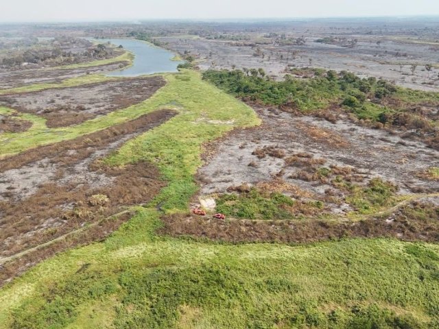 Proprietrios rurais do Pantanal afetados pelos incndios florestais devem ter condies especiais no FCO