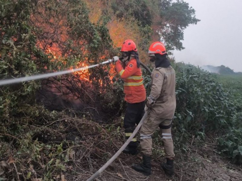 Incndios florestais se intensificam em biomas de MS, e na fronteira com a Bolvia combate continua