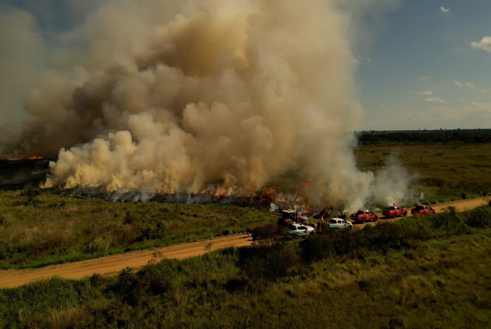 Para conservar e proteger biomas, Governo de MS realiza t�cnica de queima prescrita em parque estadual