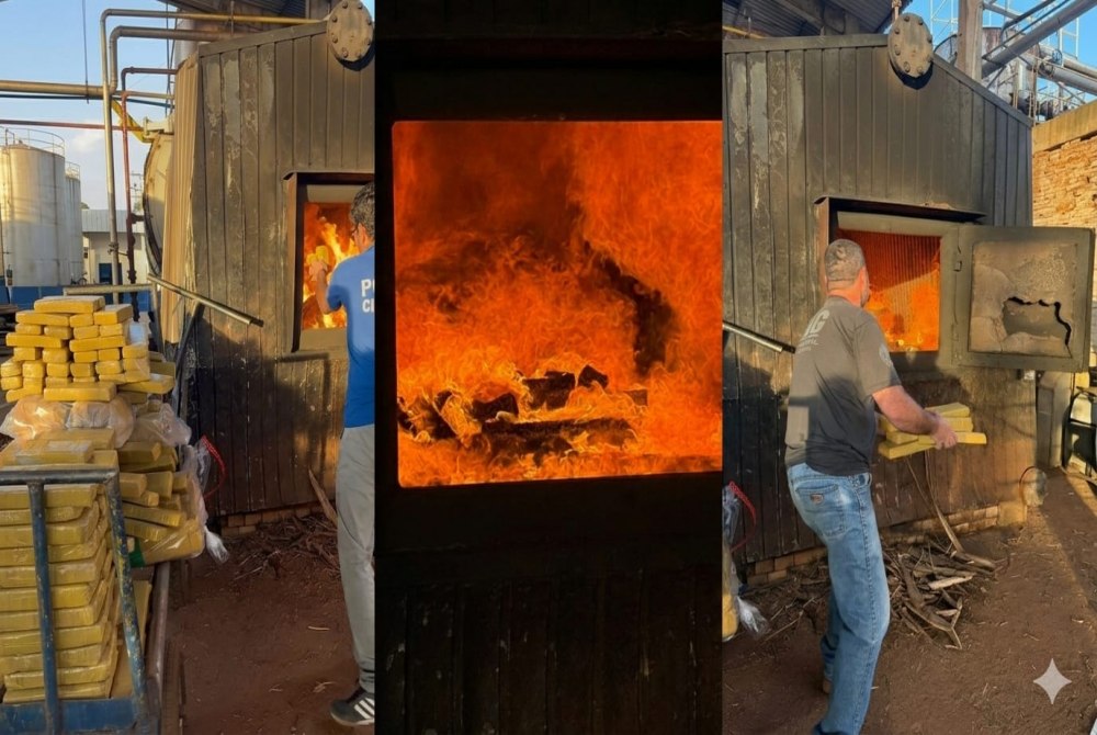 Pol�cia Civil de Bataypor� incinera mais de 500 quilos de maconha apreendidos