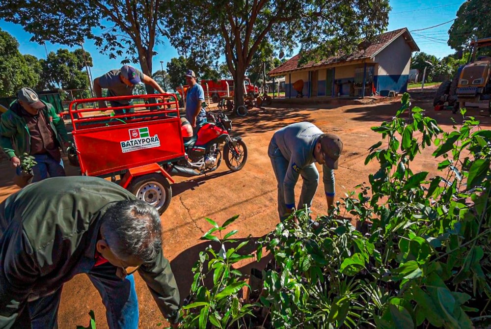 Ações da Semana do Meio Ambiente incentivam coleta seletiva e arborização em Batayporã Ações da Semana do Meio Ambiente incentivam coleta seletiva e arborização em Batayporã
