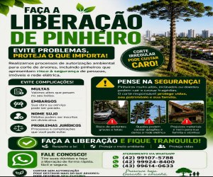 Pinheiro 