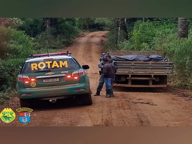 ROTAM AMBIENTAL AUTUA CONDUTOR POR TRANSPORTE ILEGAL DE PALANQUES DE IMBUIA