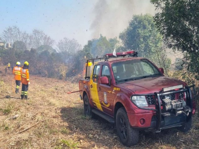 IAT PROMOVE NOVA QUEIMADA CONTROLADA DE ESPCIE EXTICA NO PARQUE DE VILA VELHA