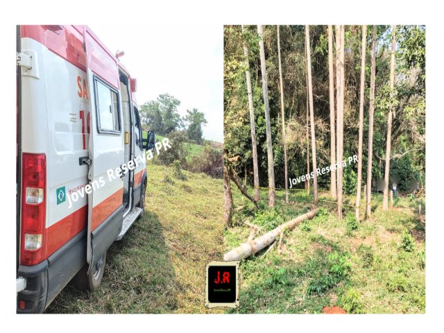 HOMEM PERDE A VIDA DURANTE O CORTE DE MADEIRA EM LEONARDOS