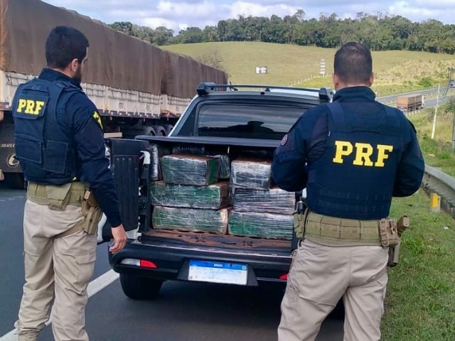 MAIS DE MEIA TONELADA DE MACONHA  APREENDIDA PELA PRF EM TIBAGI (PR)