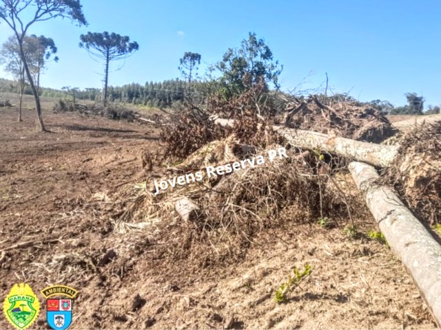 AO CONTRA O DESMATAMENTO  REALIZADA NO MUNICPIO DE RESERVA (PR)